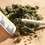 LA CANNABIS PUÒ UCCIDERE ANCHE DA SOLA: LO STUDIO CHOC DA UN'UNIVERSITÀ TEDESCA