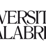 Intelligence, aperte le iscrizioni alla sesta edizione del master dell'Università della Calabria. sc...
