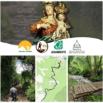Concluso il primo Cammino “Verso la Madonna della Quercia”